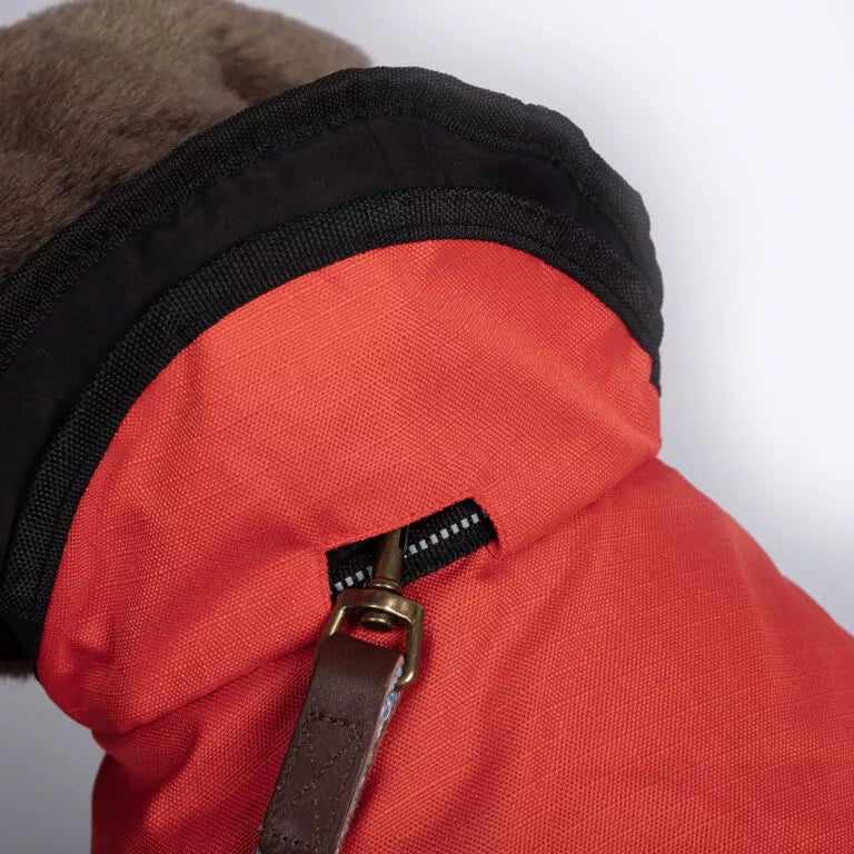 2 in 1 all seasons dog coat