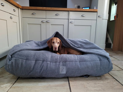 Embrace comfort, the benefits of snuggle dog beds