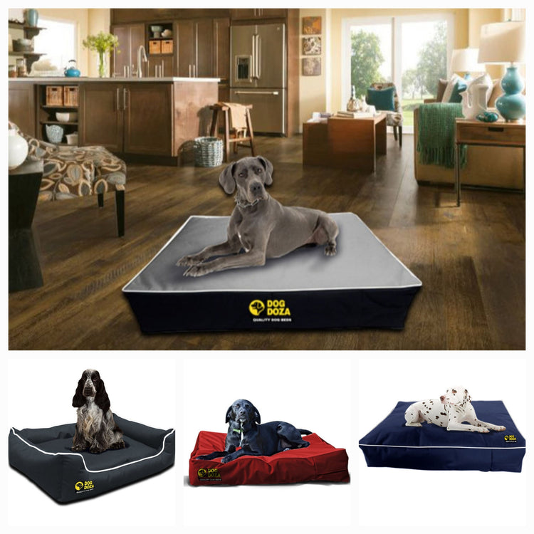 Orthopaedic Memory foam dog beds