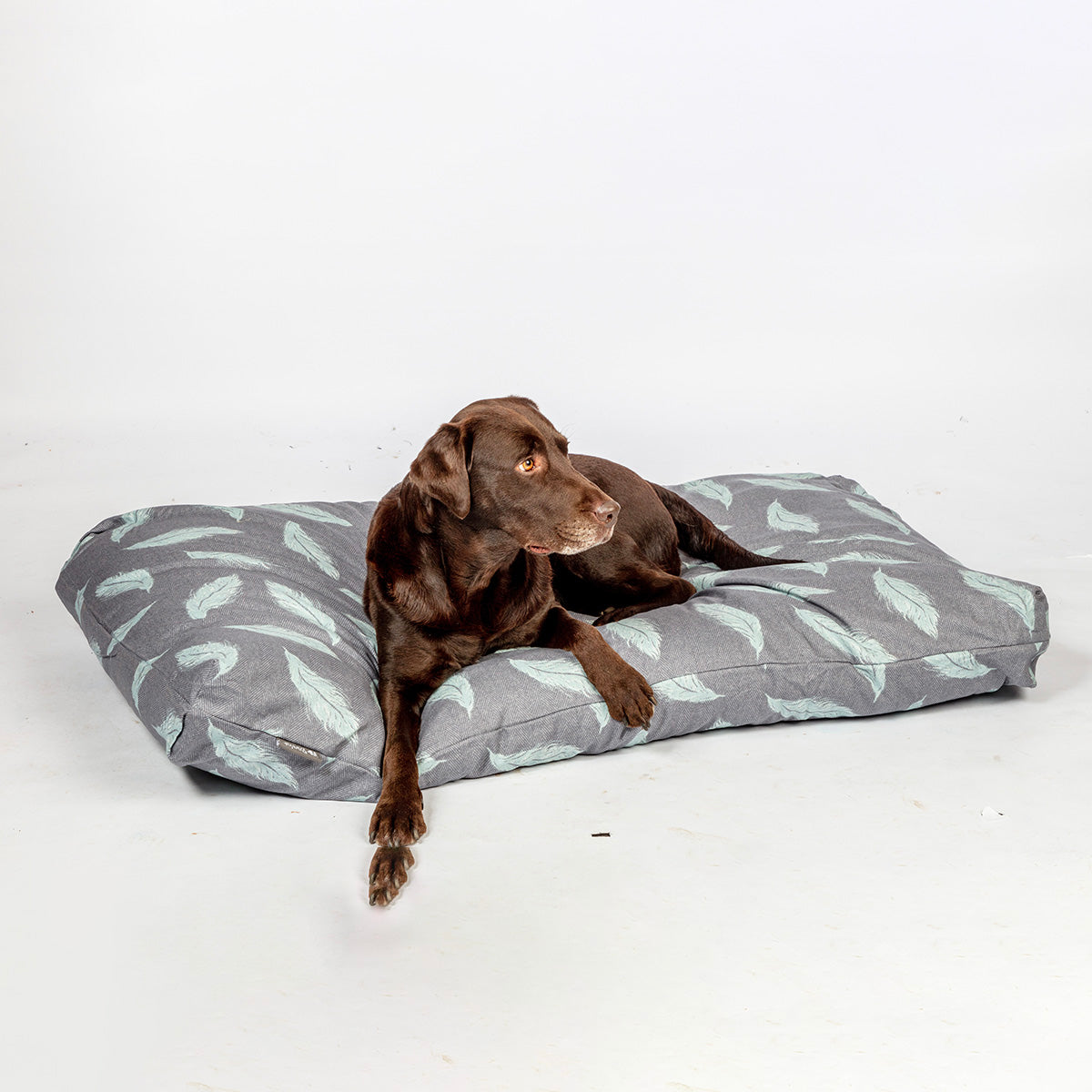 Spa Duvet dog beds