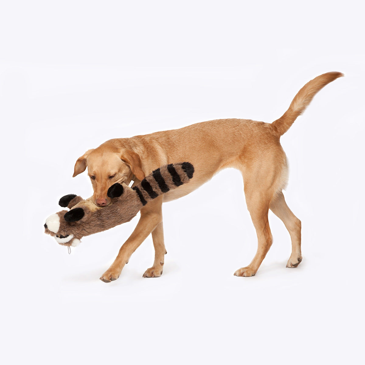 Plush Dog Toy Collection