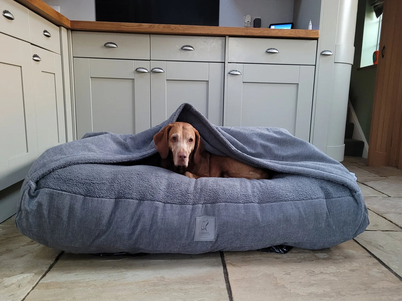Collared Creatures Snuggle Sack Dog Beds