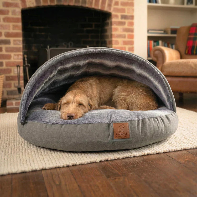 L:uxury Cave beds by Collared Crteatures. Maisey Daisey supports Dog Rescue