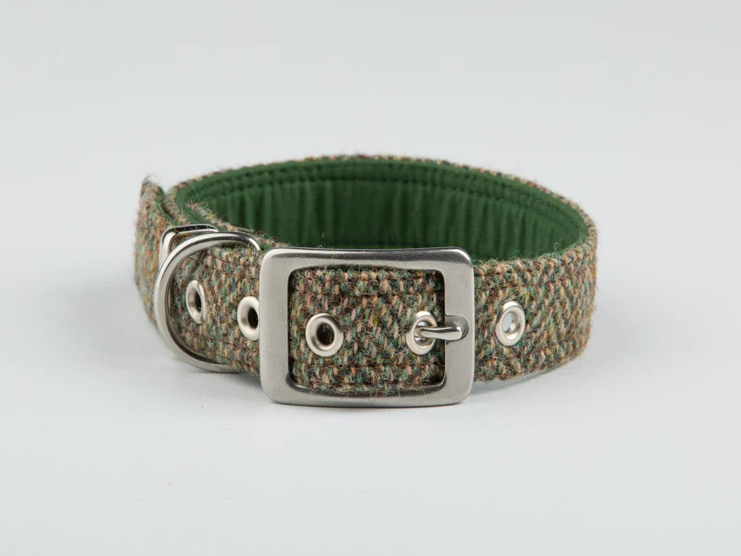 Luxury Harris Tweed Buckle Dog Collar
