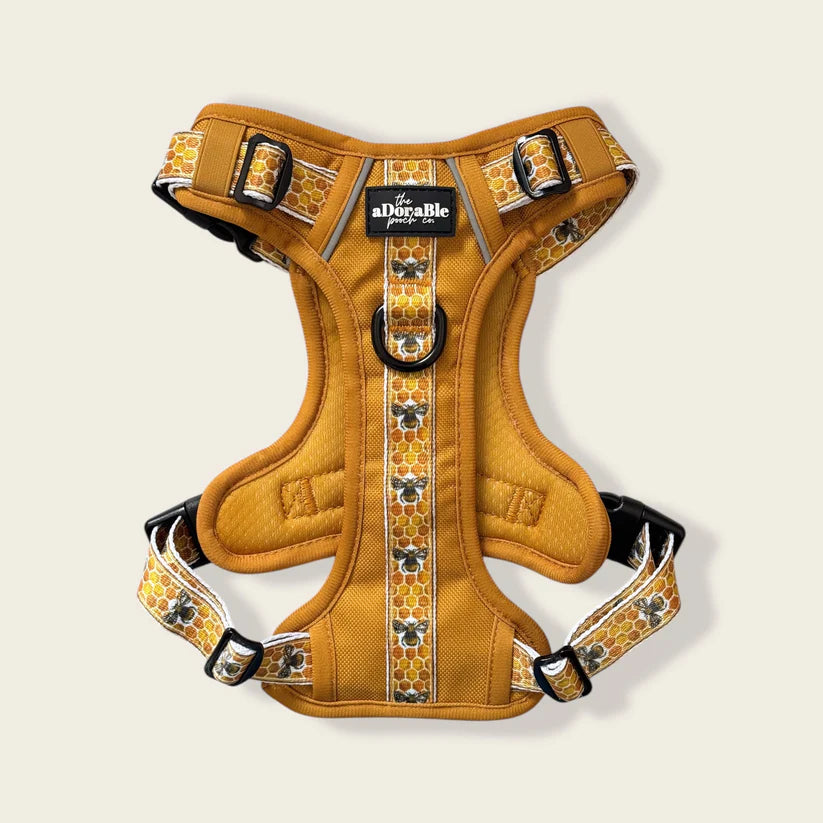 Adorable Pooch Honeycomb Hive Dog No Pull, Adjustable Hiking Harness