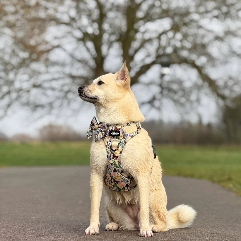 Bumbles & Butterflies Dog Harness Hike & Go Lite with Matching Sailor Bow