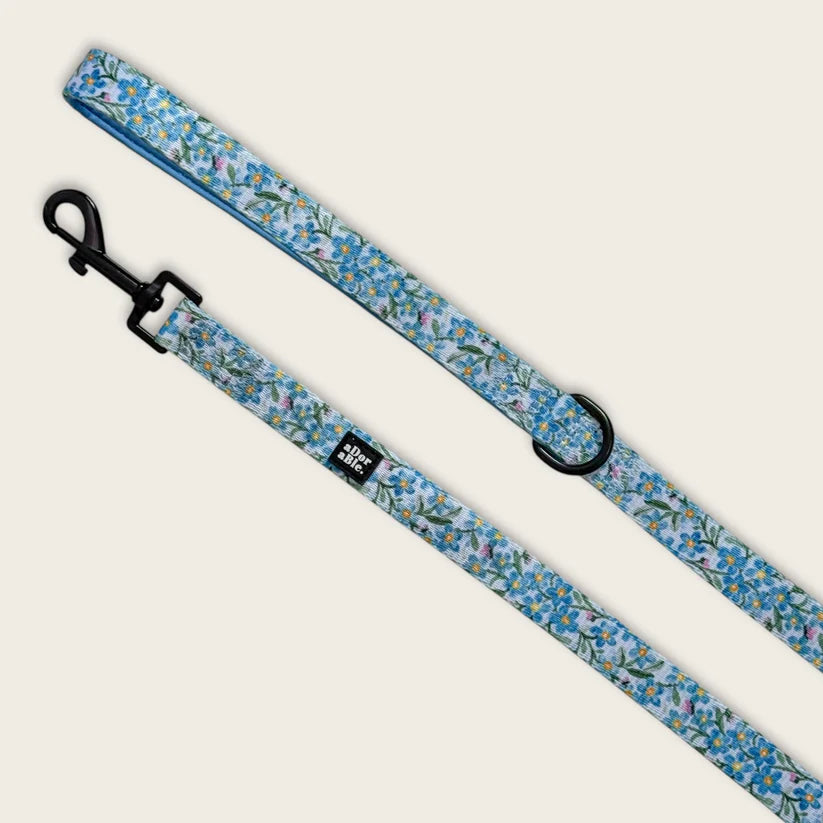 aDoraBle Pooch flourishing forget-me-nots dog lead