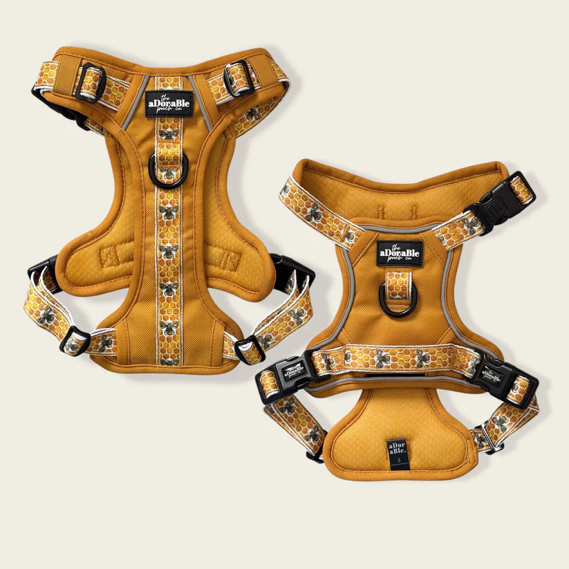 Adorable Pooch Honeycomb Hive Hike & Go Harness