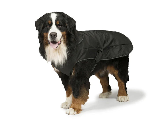 All Season Dog Coat