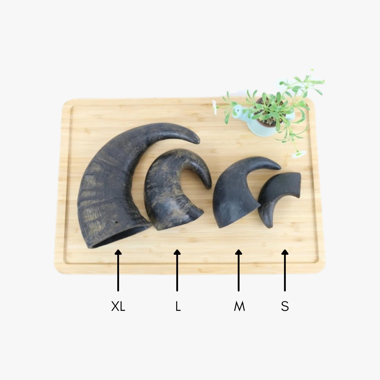 Buffalo Horns for Dogs