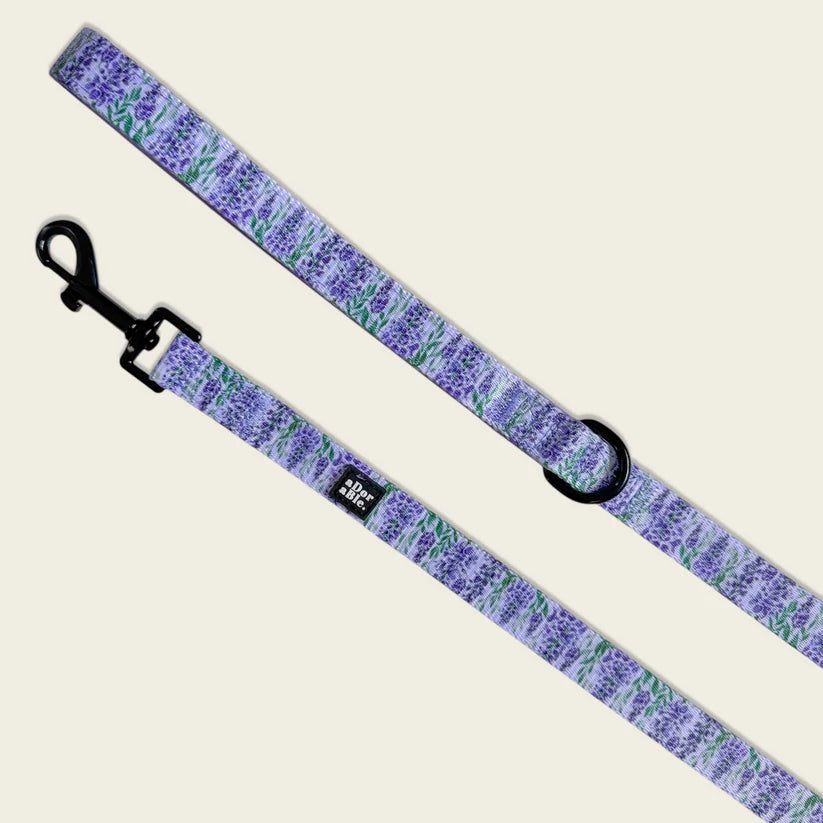 aDoraBle Pooch wisteria waltz dog lead