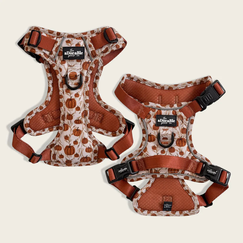 aDoraBle hike and go dog harness pumpkin farm
