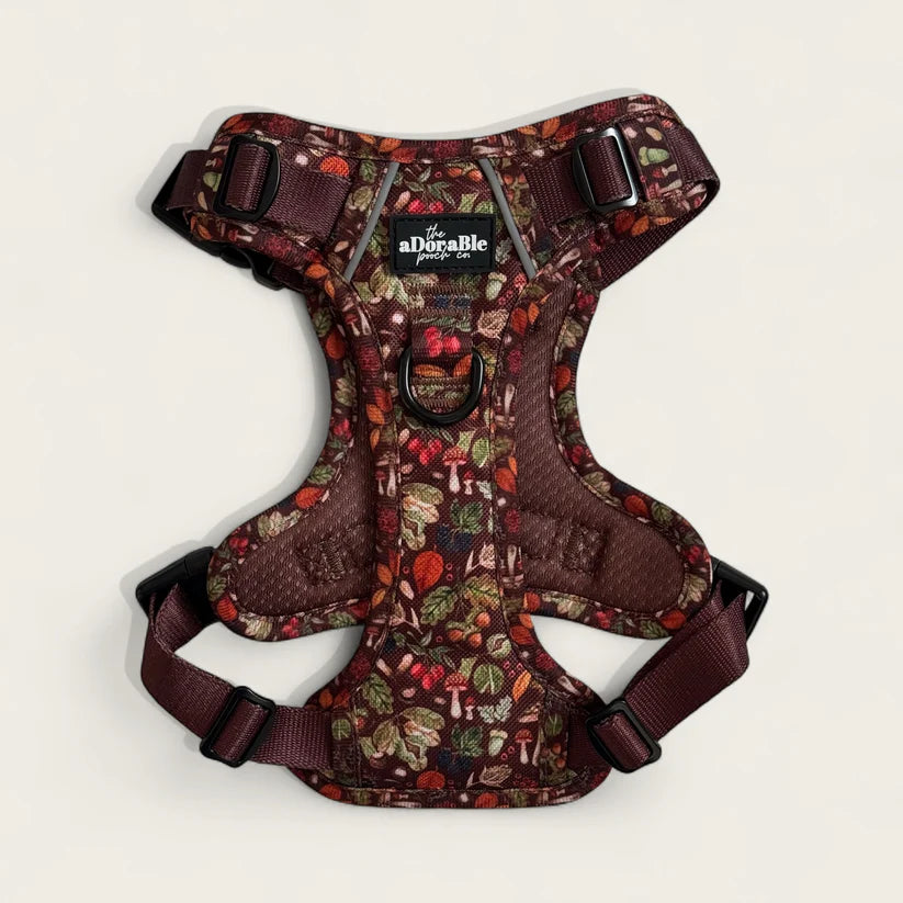 Foragers Forest Hiking Dog Harness