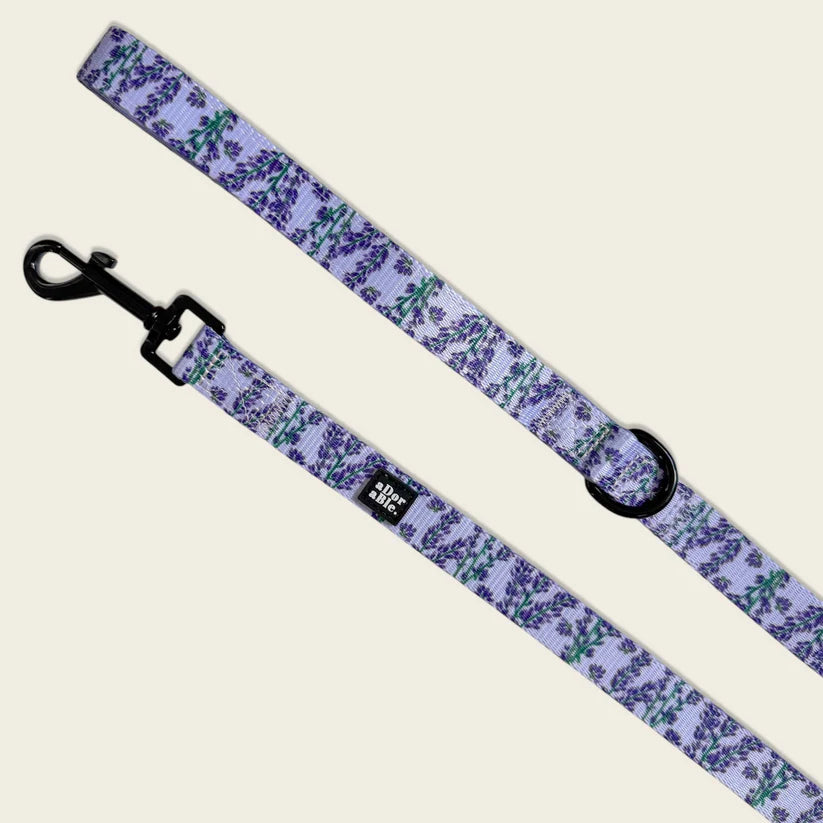 aDoraBle Pooch lavender haze dog lead