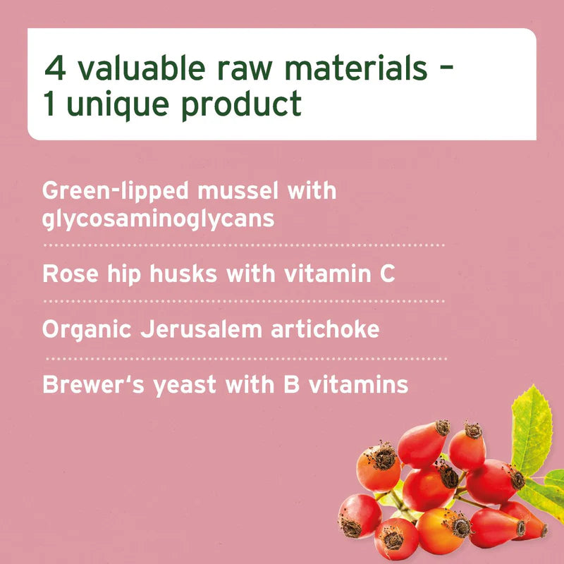 Aniforte 4 in 1 complete valuable raw materials for a unique product with green-lipped mussel, rose hip husks, Jerusalem artichoke, and brewer's yeast on a pink background.