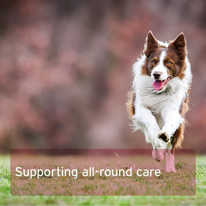 Dog running on grass with text 'Supporting all-round care' in the foreground