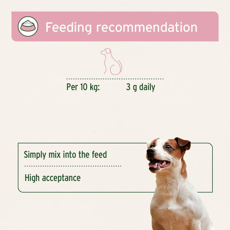 Feeding recommendation for a dog with a pink banner and text on a white background.
