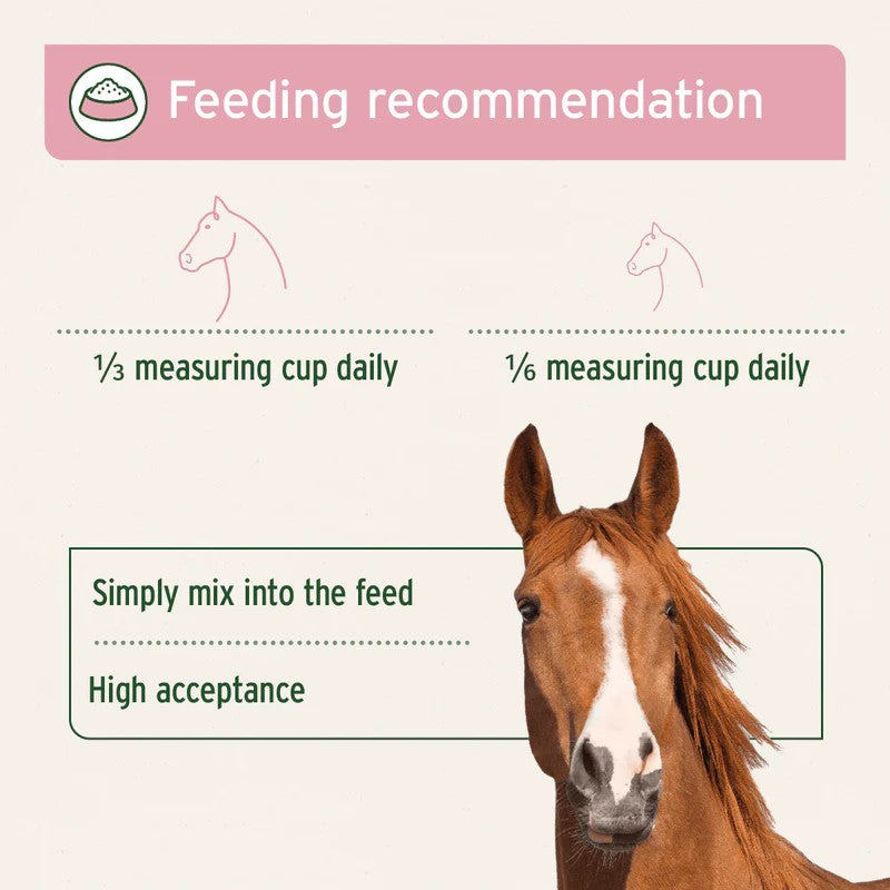 Feeding recommendation for AniForte 4in1 Complete Horse Supplement 