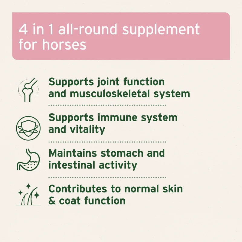 Supplement benefits for AniForte 4in1 Complete Horse Supplement 