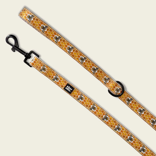 Honeycomb and Bee Dog Lead - Part of the Adorable Pooch Honeycomb & Hive Collection