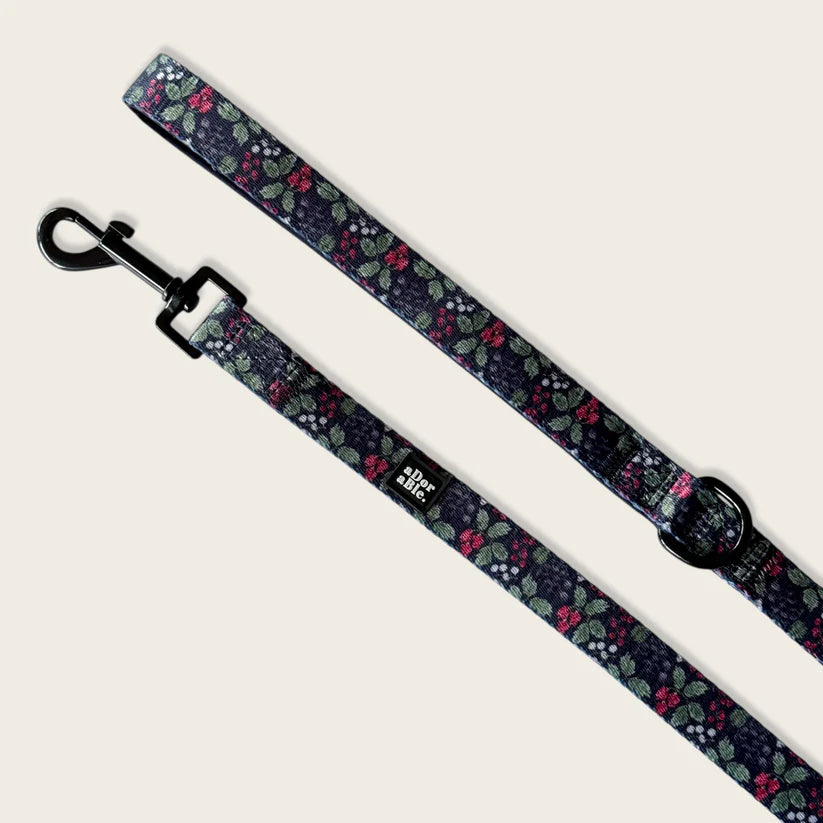 aDoraBle Pooch bramble berry dog lead
