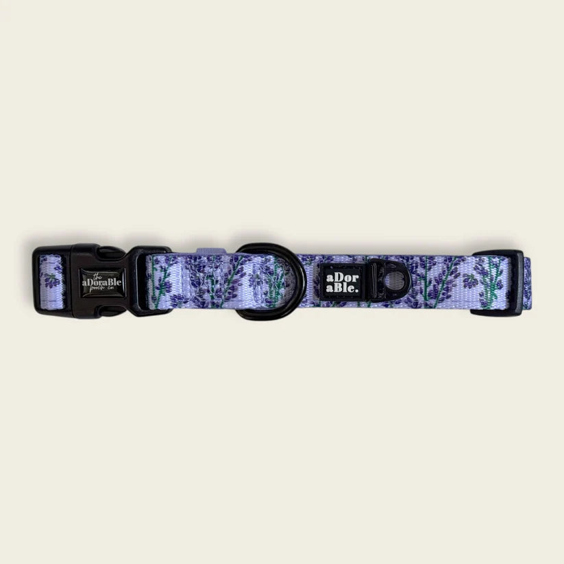 aDoraBle Pooch lavender haze dog collar