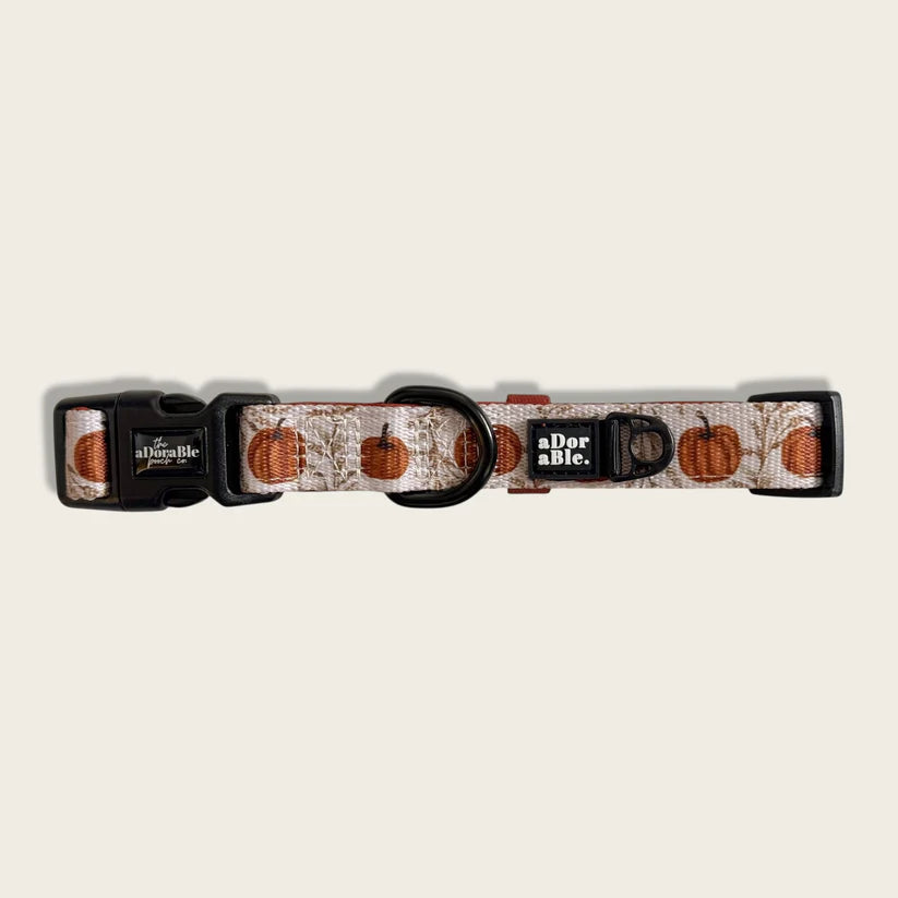 aDoraBle pumpkin farm collar