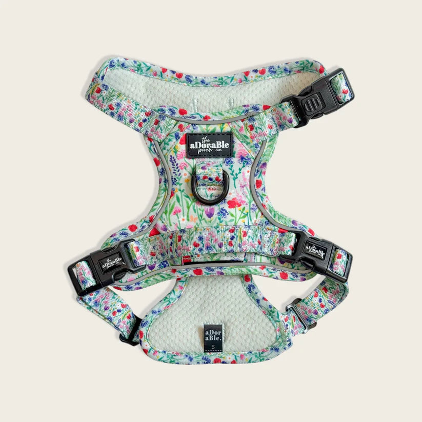 Wildflower Meadow Hike & Go Light Dog Harness 