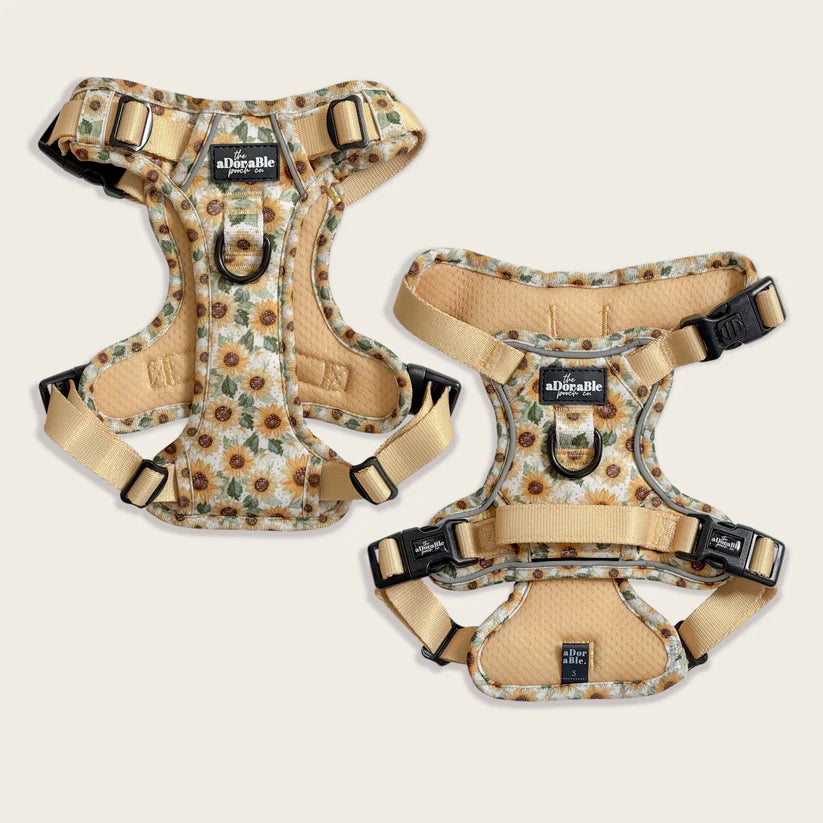 aDoraBle Pooch hike and go lite sunflower season dog harness