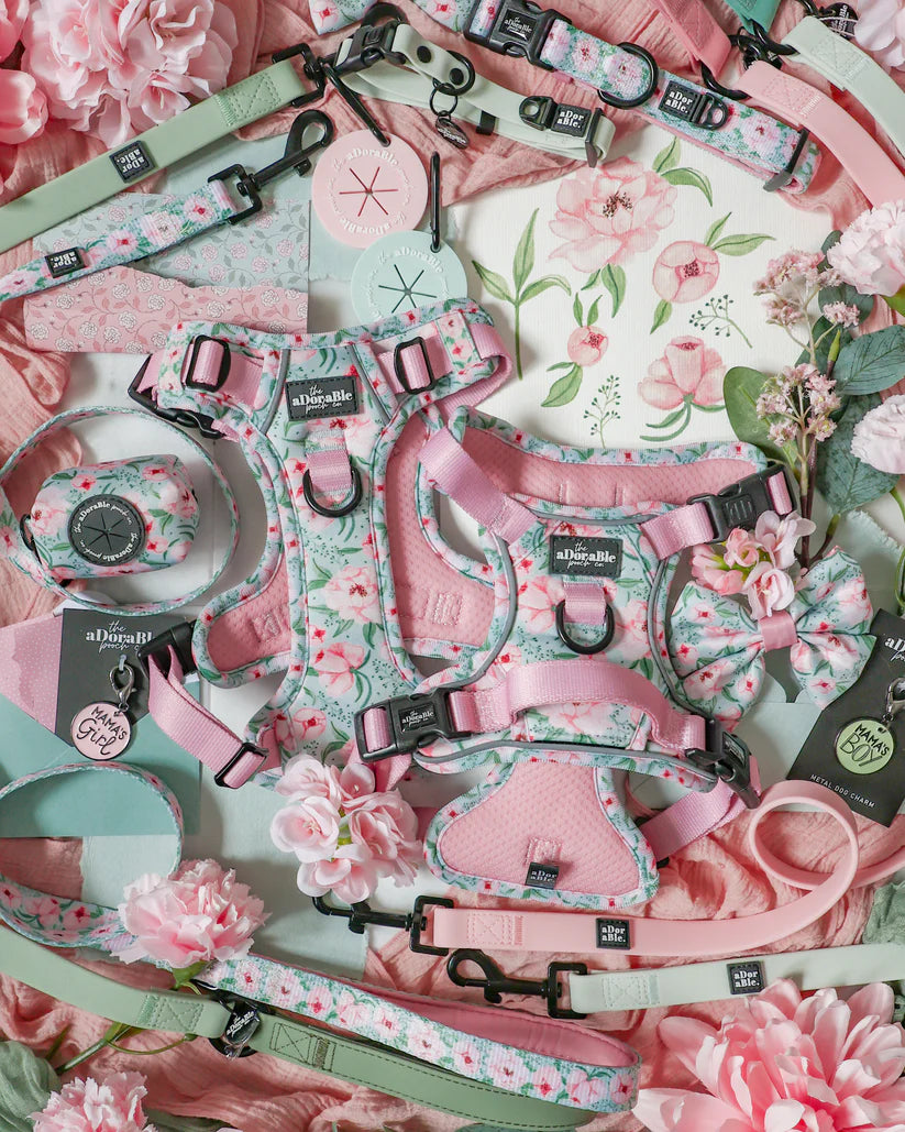 Peony Petals Dog Harness, Collar & Lead Collection