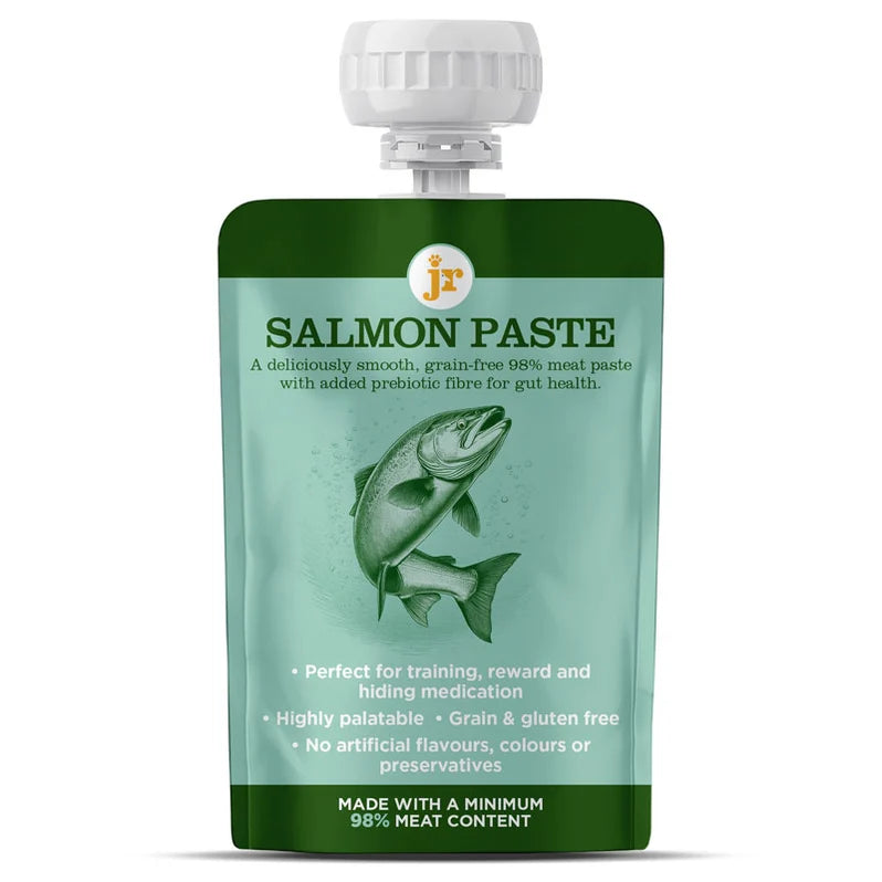 JR Premium Salmon Paste+ 80g grain-free salmon dog training treat