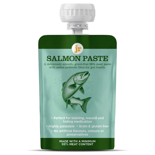 JR Premium Salmon Paste+ 80g grain-free salmon dog training treat