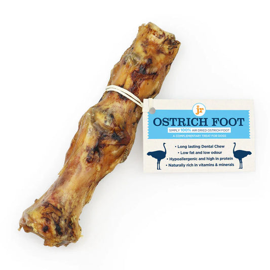 Premium Large Ostrich Foot 15-20cm long