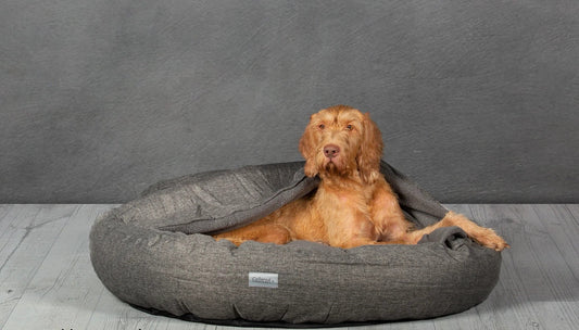 Classic Cocoon Bed Small Grey 50% Off