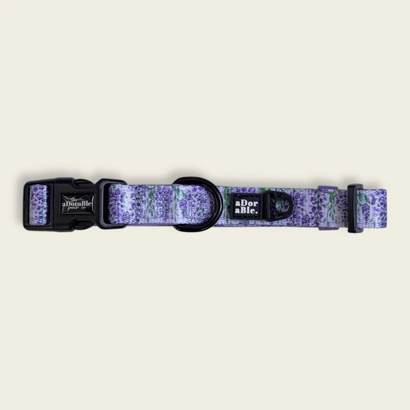 aDoraBle Pooch wisteria waltz dog collar