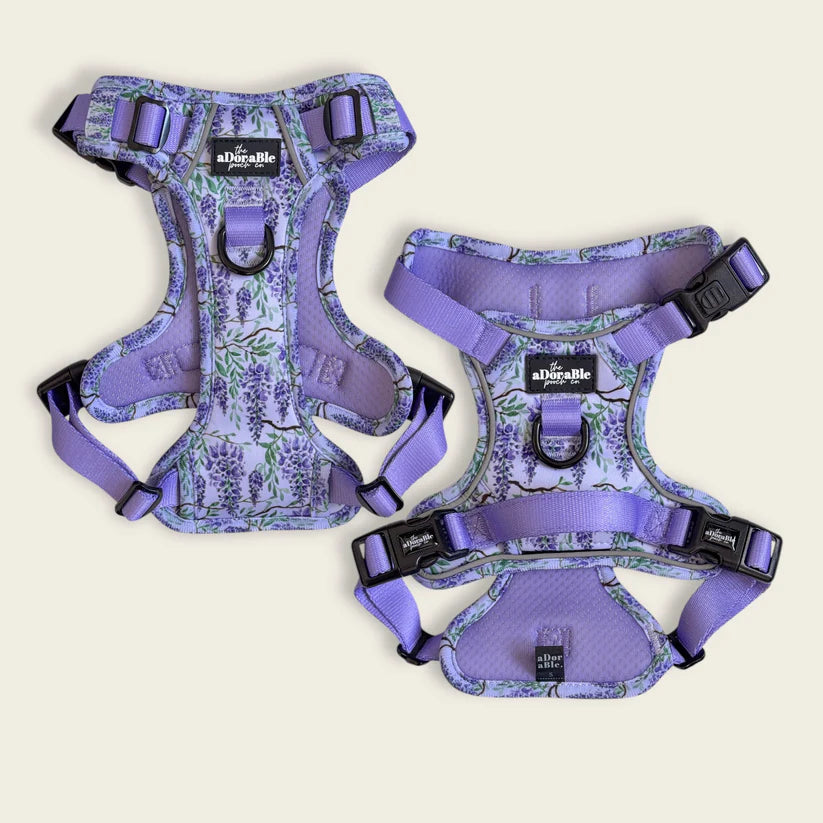 aDoraBle Pooch wisteria waltz hike and go lite dog harness