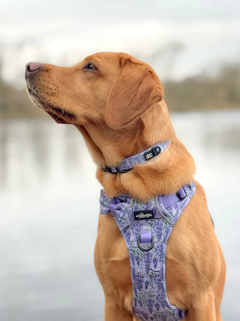 aDoraBle Pooch wisteria waltz hike and go lite dog harness example