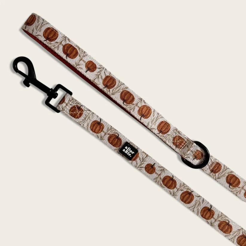 aDoraBle pumpkin farm dog lead