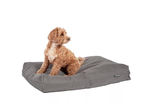 Antibacterial deep duvet grey