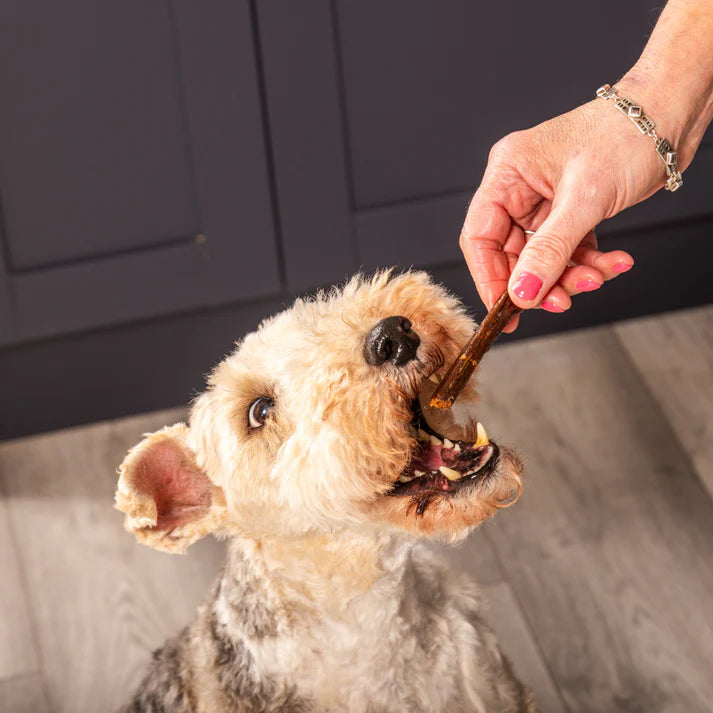 Gourmet 100% Pure Meat Sticks for Dogs | Natural Grain-Free Hypoallergenic Dog Treats