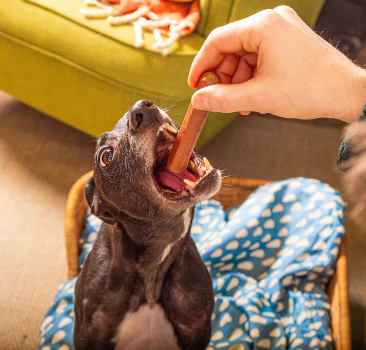 Moist Gourmet Dog Sausages Turkey and Cranberry
