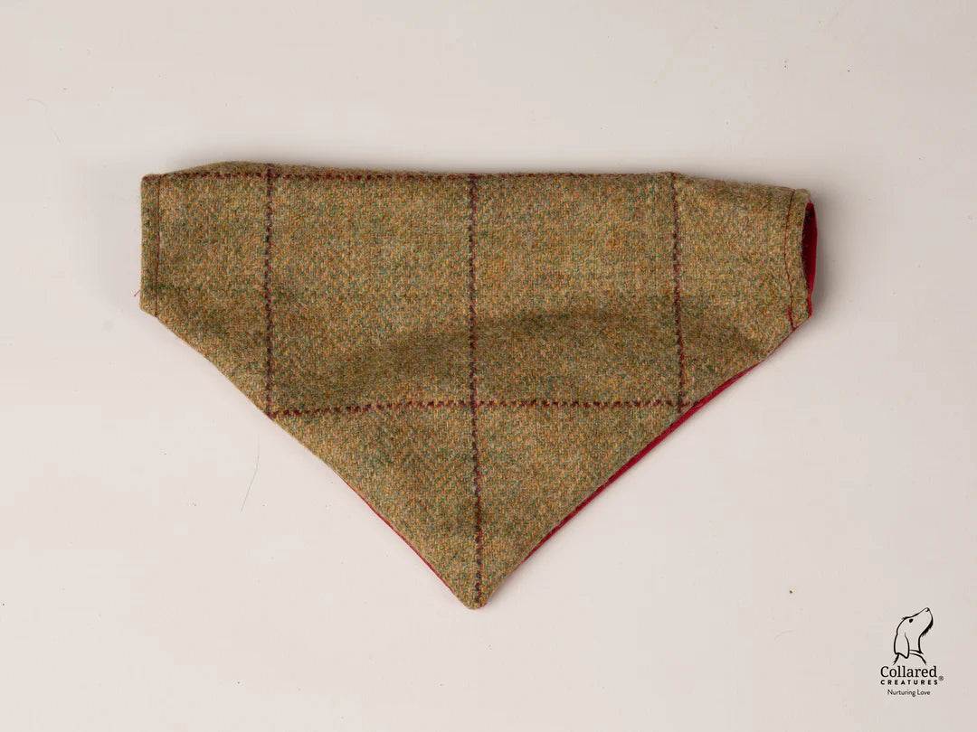 Abraham Moon Yorkshire Tweed Luxury Dog Collar Bandana