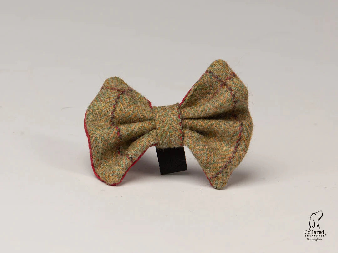 Abraham Moon Yorkshire Tweed Luxury Dog Collar Bow