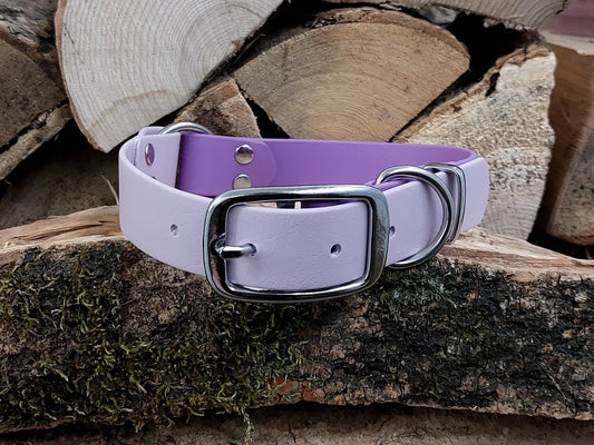 Waterproof Unique Dog Collar 