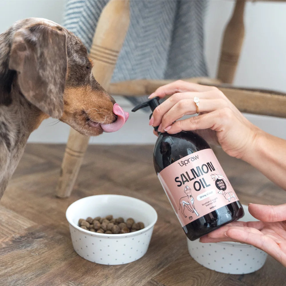 Premium Scottish Salmon Oil for Dogs Supports Joint Mobility Omega Rich