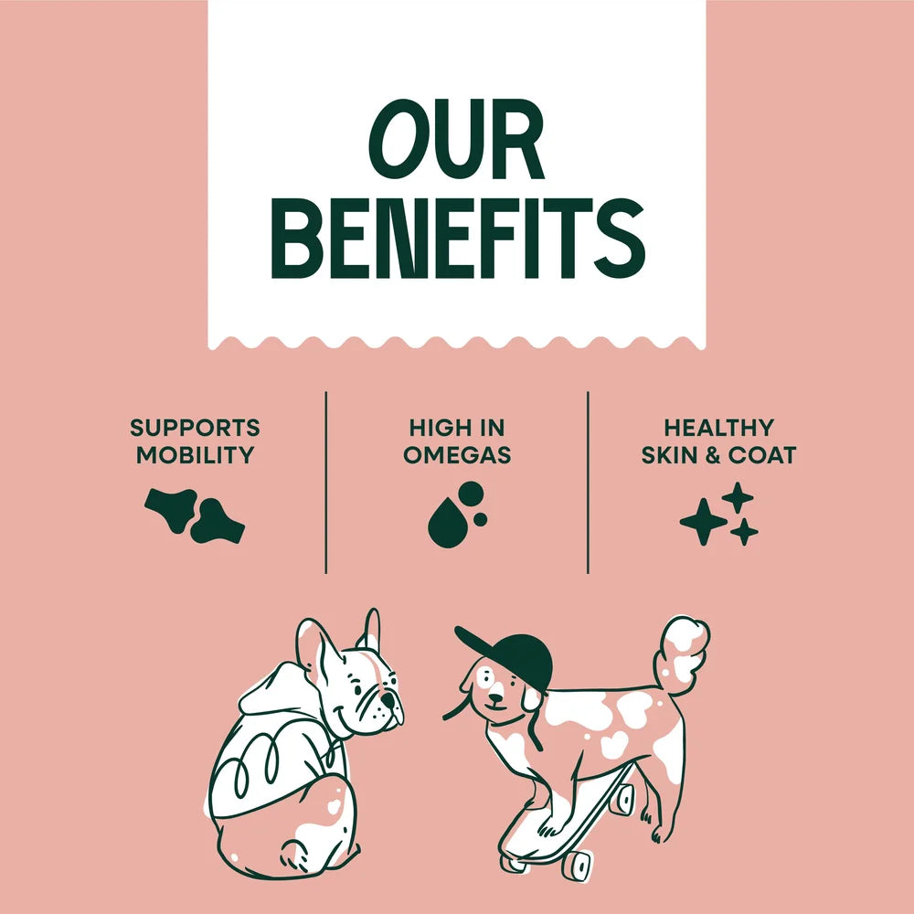 Premium Scottish Salmon Oil for Dogs Key Benefits