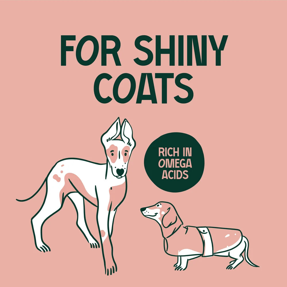 Premium Scottish Salmon Oil for Dogs Benefits