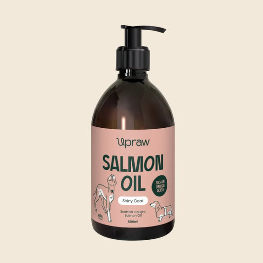Premium Scottish Salmon Oil for Dogs