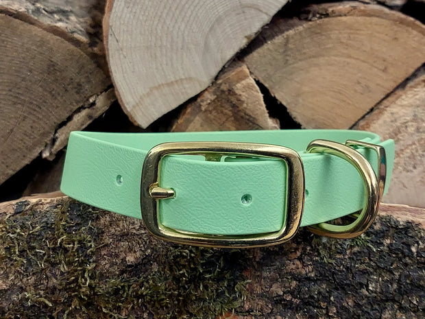 Apple Green Dog Collar Waterproof