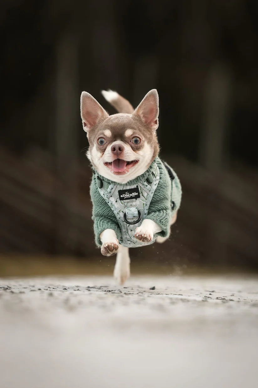 Silent Snowdrops Dog Harness 
